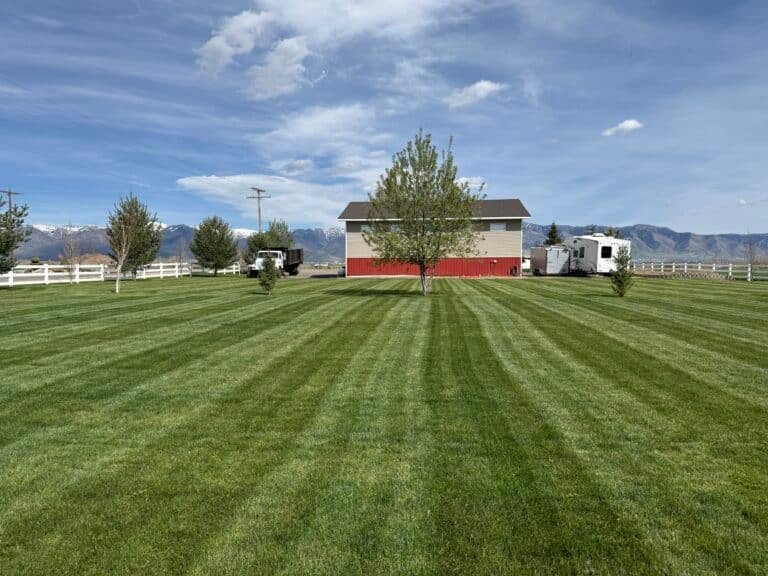 Lawn care in Logan